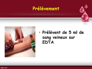 Prélèvement
• Prélèvent de 5 ml de
sang veineux sur
EDTA
 