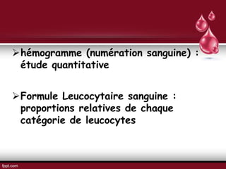 hémogramme (numération sanguine) :
étude quantitative
Formule Leucocytaire sanguine :
proportions relatives de chaque
catégorie de leucocytes
 