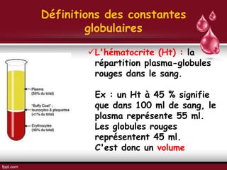 Définitions des constantes
globulaires
L'hématocrite (Ht) : la
répartition plasma-globules
rouges dans le sang.
Ex : un Ht à 45 % signifie
que dans 100 ml de sang, le
plasma représente 55 ml.
Les globules rouges
représentent 45 ml.
C'est donc un volume
 