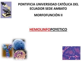 PONTIFICIA UNIVERSIDAD CATÓLICA DEL
ECUADOR SEDE AMBATO
MORFOFUNCIÓN II
HEMOLINFOPOYETICO
 