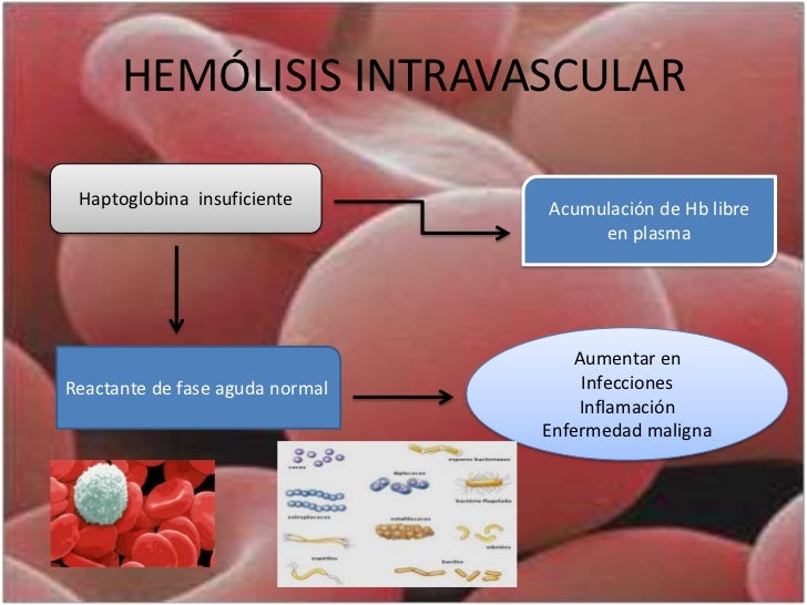 Hemolisis