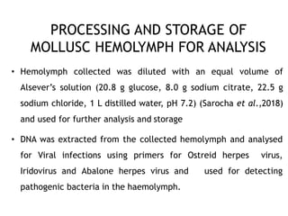 PROCESSING AND STORAGE OF
MOLLUSC HEMOLYMPH FOR ANALYSIS
• Hemolymph collected was diluted with an equal volume of
Alsever’s solution (20.8 g glucose, 8.0 g sodium citrate, 22.5 g
sodium chloride, 1 L distilled water, pH 7.2) (Sarocha et al.,2018)
and used for further analysis and storage
• DNA was extracted from the collected hemolymph and analysed
for Viral infections using primers for Ostreid herpes virus,
Iridovirus and Abalone herpes virus and used for detecting
pathogenic bacteria in the haemolymph.
 