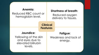 Hemolysis of Rbc updated.pptx clinical hematology | PPTX