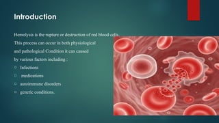 Hemolysis of Rbc updated.pptx clinical hematology | PPTX