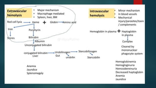 Hemolysis of Rbc updated.pptx clinical hematology | PPTX