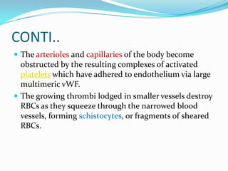 CONTI..
 The arterioles and capillaries of the body become
  obstructed by the resulting complexes of activated
  platelets which have adhered to endothelium via large
  multimeric vWF.
 The growing thrombi lodged in smaller vessels destroy
  RBCs as they squeeze through the narrowed blood
  vessels, forming schistocytes, or fragments of sheared
  RBCs.
 
