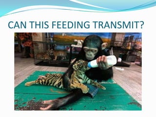 CAN THIS FEEDING TRANSMIT?
 