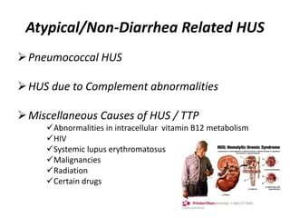 Atypical/Non-Diarrhea Related HUS
Pneumococcal HUS
HUS due to Complement abnormalities
Miscellaneous Causes of HUS / TTP
Abnormalities in intracellular vitamin B12 metabolism
HIV
Systemic lupus erythromatosus
Malignancies
Radiation
Certain drugs
 