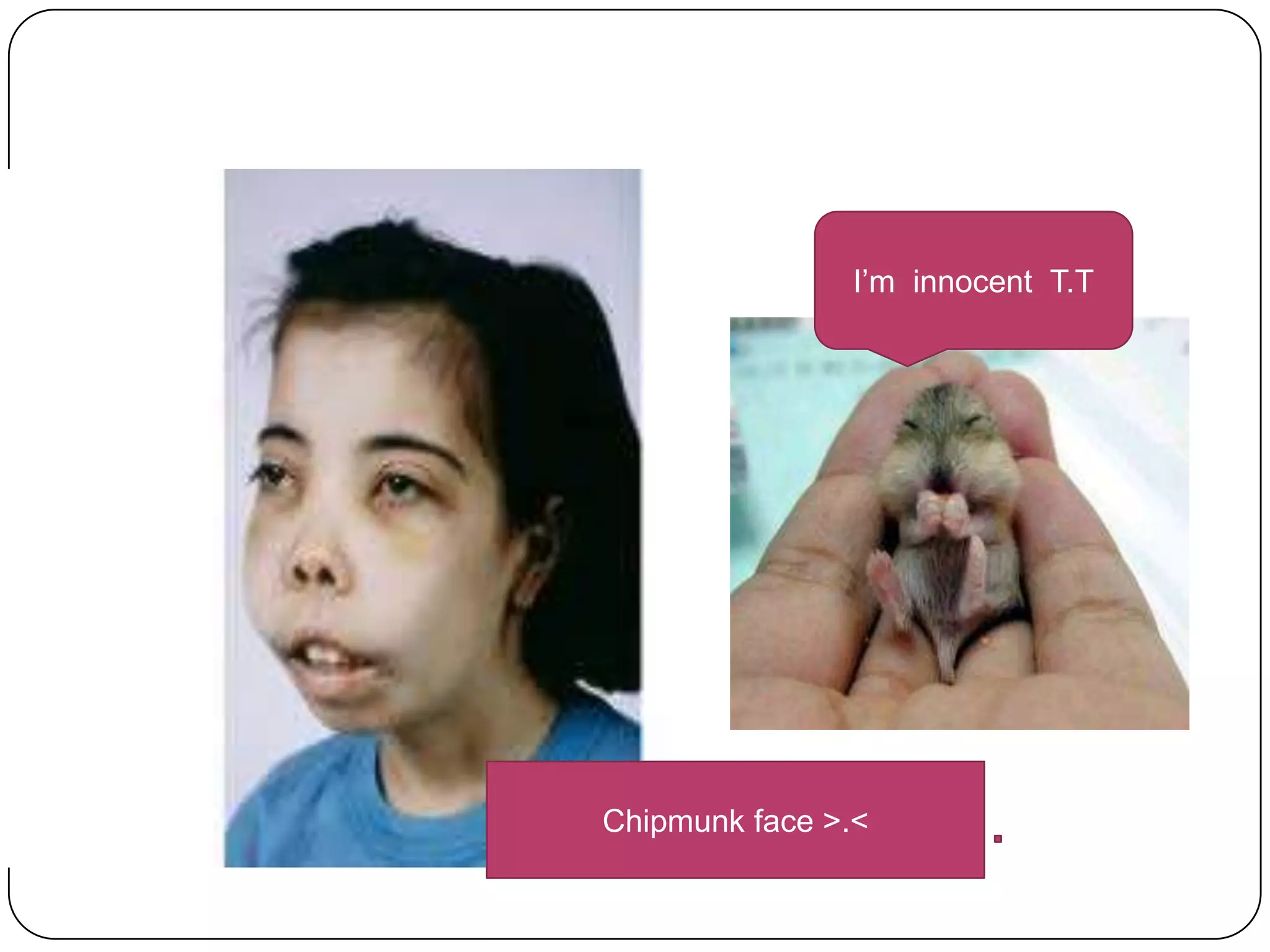 I’m innocent T.T




Chipmunk face >.<
 