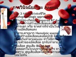 การวินิจฉัยภาวะ Anemia
แบ่ง   3 กลุมตามวงจงชีวิต
               ่
 (pathophysiologic approach)
สร้างน้อย-เกิดน้อย Impaired RC formation
 ปัญหาทีการสร้างเม็ดเลือดแดงผิดปกติ จาก
           ่
 ไขกระดูก หรือ ขาดสารที่จำาเป็นในการ
 สร้างเม็ดเลือดแดง
ทำาลาย-ตายมาก Hemolytic anemia
 โครงสร้างเม็ดเลือดแดงผิดปกติ มีสารหรือ
 ภูมิคุ้มกันทำาลายตนเอง ทำาให้มีการแตก
 สลายตัวของเม็ดเลือด ถูกจับทำาลายได้
เสียเลือด สูญเสีย Blood loss
 เลือดออกในระบบทางเดินอาหาร ทางเดิน
 ปัสสาวะ สูญเสียเลือดโดยที่ร่างกายสร้าง
 ใหม่ไม่ทน   ั
 