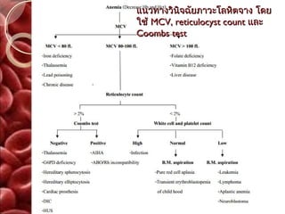แนวทางวินิจฉัยภาวะโลหิตจาง โดย
ใช้ MCV, reticulocyst count และ
Coombs test
 