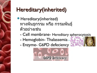 Hereditary(inherited)
Hereditary(inherited)
 ทางพันธุกรรม หรือ กรรมพันธุ์
 ตัวอย่างเช่น
 - Cell membrane- Hereditary spherocytosis
 - Hemoglobin- Thalassemia
 - Enzyme- G6PD defeciency
 