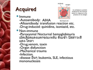 Acquired
Immune
 -Autoantibody: AIHA
 -Alloantibody: transfusion reaction etc.
 -Drug-induced: quinidine, isoniazid, etc.
Non-immune
 -Paroxysmal Nocturnal hemoglobinuria
 เม็ดเลือดแดงแตกขณะหลับ ตื่นเช้า ปัสสาวะสี
 แดง-โคลา
 -Drug,venom, toxin
 -Organ disfunction
 -Machanical trauma
 -Infection
 -disease อื่นๆ leukemia, SLE, infectious
 mononucleosis
 