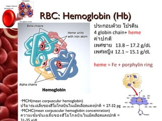 RBC: Hemoglobin (Hb)
                                         ประกอบด้วย โปรตีน
                                         4 globin chain+ heme
                                         ค่า ปกติ
                                         เพศชาย  13.8 – 17.2 g/dL
                                         เพศหญิง 12.1 – 15.1 g/dL

                                         heme = Fe + porphylin ring




•MCH(mean corpuscular hemoglobin)
ปริม าณ เฉลี่ยของฮีโมโกลบินในเม็ดเลือดแดงปกติ = 27-32 pg
•MCHC(mean corpuscular hemoglobin concentration)
ความเข้ม ข้น เฉลี่ย ของฮีโ มโกลบิน ในเม็ดเลือดแดงปกติ =
 