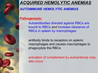 ACQUIRED HEMOLYTIC ANEMIAS
AUTOIMMUNE HEMOLYTIC ANEMIAS
Pathogenesis:
Autoantibodies directed against RBCs are
bound to RBCs and increase clearance of
RBCs in spleen by macrophages:
antibody binds to receptors on splenic
macrophages and causes macrophages to
phagocytize the RBCs
activation of complement by autoantibody may
also occur
 