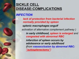 SICKLE CELL
DISEASE:COMPLICATIONS
INFECTION
A. lack of protection from bacterial infection
normally provided by spleen
splenic macrophages engulf
activation of alternative complement pathway )
1. in early childhood, spleen is enlarged and
congested with abnormal RBC
2. infarction of spleen occurs by
adolesence or early adulthood
(from vasoocclusion by abnormal RBC:
“autosplenectomy”)
 
