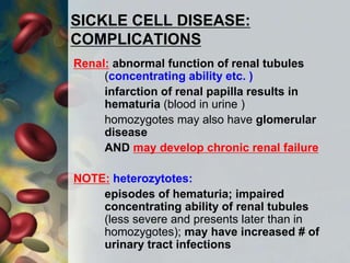 SICKLE CELL DISEASE:
COMPLICATIONS
Renal: abnormal function of renal tubules
(concentrating ability etc. )
infarction of renal papilla results in
hematuria (blood in urine )
homozygotes may also have glomerular
disease
AND may develop chronic renal failure
NOTE: heterozytotes:
episodes of hematuria; impaired
concentrating ability of renal tubules
(less severe and presents later than in
homozygotes); may have increased # of
urinary tract infections
 