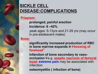 SICKLE CELL
DISEASE:COMPLICATIONS
Priapism:
prolonged, painful erection
Incidence: 6 –42%
peak ages: 5-13yrs and 21-29 yrs (may occur
in pre-adolescent males)
Bone:
1. significantly increased production of RBC
in bone marrow expands itbossing of
forehead”
2. infarction of bone secondary to vaso-
occlusione.g. aseptic necrosis of femoral
head; extreme pain may be associated with
infarction
3. osteomyelitis ( infection of bone)
 