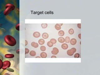 Target cells
 
