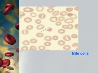 Bite cells
 
