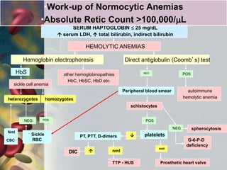 •SERUM HAPTOGLOBIN  25 mg/dL
• serum LDH,  total bilirubin, indirect bilirubin
•HEMOLYTIC ANEMIAS
•Hemoglobin electrophoresis •Direct antiglobulin (Coomb’s) test
•HbS •other hemoglobinopathies
•HbC, HbSC, HbD etc.
•sickle cell anemia
•NEG •POS
•Peripheral blood smear •autoimmune
•hemolytic anemia
•POS
•NEG
•platelets•
•nml
•G-6-P-D
deficiency
•spherocytosis
•heterozygotes •homozygotes
•Nml
CBC
•NEG •POS
•Sickle
RBC
•PT, PTT, D-dimers
• •nml
•Prosthetic heart valve
•DIC
•TTP - HUS
•schistocytes
•Work-up of Normocytic Anemias
•Absolute Retic Count >100,000/L
 
