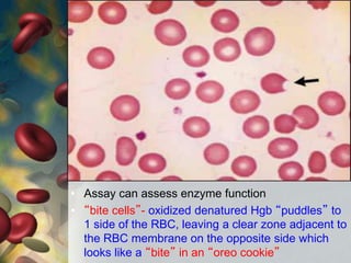 • Assay can assess enzyme function
• “bite cells”- oxidized denatured Hgb “puddles” to
1 side of the RBC, leaving a clear zone adjacent to
the RBC membrane on the opposite side which
looks like a “bite” in an “oreo cookie”
 