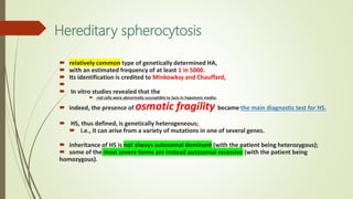 Hereditary spherocytosis
 relatively common type of genetically determined HA,
 with an estimated frequency of at least 1 in 5000.
 Its identification is credited to Minkowksy and Chauffard,

 In vitro studies revealed that the
 red cells were abnormally susceptible to lysis in hypotonic media;
 indeed, the presence of osmotic fragility became the main diagnostic test for HS.
 HS, thus defined, is genetically heterogeneous;
 i.e., it can arise from a variety of mutations in one of several genes.
 inheritance of HS is not always autosomal dominant (with the patient being heterozygous);
 some of the most severe forms are instead autosomal recessive (with the patient being
homozygous).
 