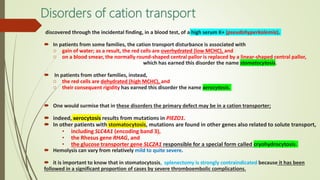 Disorders of cation transport
discovered through the incidental finding, in a blood test, of a high serum K+ (pseudohyperkalemia).
 In patients from some families, the cation transport disturbance is associated with
o gain of water; as a result, the red cells are overhydrated (low MCHC), and
o on a blood smear, the normally round-shaped central pallor is replaced by a linear-shaped central pallor,
which has earned this disorder the name stomatocytosis.
 In patients from other families, instead,
o the red cells are dehydrated (high MCHC), and
o their consequent rigidity has earned this disorder the name xerocytosis.
 One would surmise that in these disorders the primary defect may be in a cation transporter;
 indeed, xerocytosis results from mutations in PIEZO1.
 In other patients with stomatocytosis, mutations are found in other genes also related to solute transport,
• including SLC4A1 (encoding band 3),
• the Rhesus gene RHAG, and
• the glucose transporter gene SLC2A1 responsible for a special form called cryohydrocytosis.
 Hemolysis can vary from relatively mild to quite severe.
 it is important to know that in stomatocytosis, splenectomy is strongly contraindicated because it has been
followed in a significant proportion of cases by severe thromboembolic complications.
 