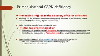 Primaquine and G6PD deficiency
Primaquine (PQ) led to the discovery of G6PD deficiency,
 this drug has not been very prominent subsequently, because it is not necessary for the
treatment of life-threatening P. falciparum malaria.
 Today there is a revival of interest in PQ because
 it is the only effective agent for
o eliminating the gametocytes of P. falciparum (thus preventing further transmission) and
o eliminating the hypnozoites of Plasmodium vivax (thus preventing endogenous relapse).
 G6PD testing ought to be made mandatory before giving this drug because
• fatal cases have been reported in newborns with kidney injury and
• in adults with tumor lysis syndrome.
 