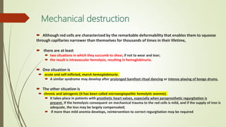 Mechanical destruction
 Although red cells are characterized by the remarkable deformability that enables them to squeeze
through capillaries narrower than themselves for thousands of times in their lifetime,
 there are at least
 two situations in which they succumb to shear, if not to wear and tear;
 the result is intravascular hemolysis, resulting in hemoglobinuria.
 One situation is
 acute and self-inflicted, march hemoglobinuria.
 A similar syndrome may develop after prolonged barefoot ritual dancing or intense playing of bongo drums.
 The other situation is
 chronic and iatrogenic (it has been called microangiopathic hemolytic anemia).
 It takes place in patients with prosthetic heart valves, especially when paraprosthetic regurgitation is
present. If the hemolysis consequent on mechanical trauma to the red cells is mild, and if the supply of iron is
adequate, the loss may be largely compensated;
 if more than mild anemia develops, reintervention to correct regurgitation may be required
 