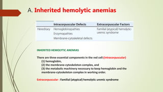 A. Inherited hemolytic anemias
INHERITED HEMOLYTIC ANEMIAS
There are three essential components in the red cell:(intracorpuscular)
(1) hemoglobin,
(2) the membrane-cytoskeleton complex, and
(3) the metabolic machinery necessary to keep hemoglobin and the
membrane-cytoskeleton complex in working order.
Extracorpuscular : Familial (atypical) hemolytic uremic syndrome
 