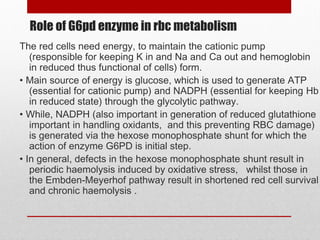 Role of G6pd enzyme in rbc metabolism
The red cells need energy, to maintain the cationic pump
(responsible for keeping K in and Na and Ca out and hemoglobin
in reduced thus functional of cells) form.
• Main source of energy is glucose, which is used to generate ATP
(essential for cationic pump) and NADPH (essential for keeping Hb
in reduced state) through the glycolytic pathway.
• While, NADPH (also important in generation of reduced glutathione
important in handling oxidants, and this preventing RBC damage)
is generated via the hexose monophosphate shunt for which the
action of enzyme G6PD is initial step.
• In general, defects in the hexose monophosphate shunt result in
periodic haemolysis induced by oxidative stress, whilst those in
the Embden-Meyerhof pathway result in shortened red cell survival
and chronic haemolysis .
 