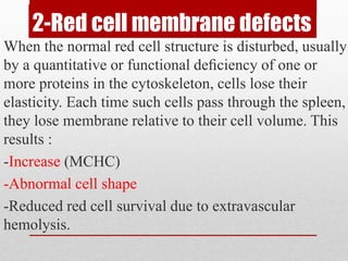 2-Red cell membrane defects
When the normal red cell structure is disturbed, usually
by a quantitative or functional deﬁciency of one or
more proteins in the cytoskeleton, cells lose their
elasticity. Each time such cells pass through the spleen,
they lose membrane relative to their cell volume. This
results :
-Increase (MCHC)
-Abnormal cell shape
-Reduced red cell survival due to extravascular
hemolysis.
 