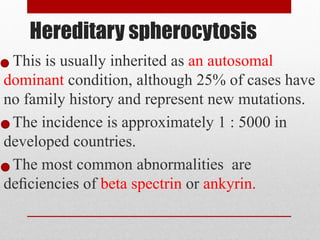 Hereditary spherocytosis
- This is usually inherited as an autosomal
dominant condition, although 25% of cases have
no family history and represent new mutations.
- The incidence is approximately 1 : 5000 in
developed countries.
- The most common abnormalities are
deﬁciencies of beta spectrin or ankyrin.
 