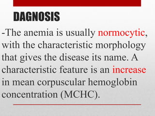 DAGNOSIS
-The anemia is usually normocytic,
with the characteristic morphology
that gives the disease its name. A
characteristic feature is an increase
in mean corpuscular hemoglobin
concentration (MCHC).
 