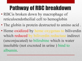 • RBCis broken down by macrophage of
reticuloendotheilial cell to hemoglobin
• The globin is protein destructed to amino acid .
• Heme oxidized by heme oxygenas to biliverdin
which reduced by biliverdin reductase indirect
(unconjucated) to bilirubine which is water
insoluble (not excreted in urine ) bind to
albumin.
 