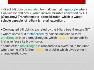 indirect bilirubin dissociated from albumin at hepatocyte where
Conjucation will occur, when indirect bilirubin converted by GT
(Glucuronyl Transferase) to direct bilirubin which is water
soluble capable of biliary & renal excretion .
• Conjugated bilirubin is excreted by the biliary tree & enters GIT
• where some of it metabolised by colonic bacteria to form
urobilinogen then stercobilinogen, which oxidized to stercobilin
that give feces its brown color.
• some of the urobilinogen is reabsorbed & excreted in the urine
where some of it further oxidize to urobilin which gives urine it
characteristic color
 