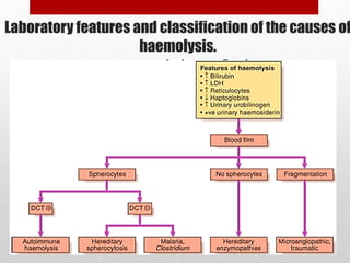 Laboratory features and classification of the causes of
haemolysis.
 