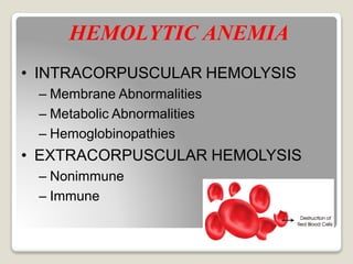 HEMOLYTIC ANEMIA
• INTRACORPUSCULAR HEMOLYSIS
– Membrane Abnormalities
– Metabolic Abnormalities
– Hemoglobinopathies
• EXTRACORPUSCULAR HEMOLYSIS
– Nonimmune
– Immune
 