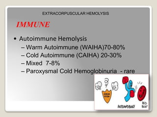 IMMUNE
• Autoimmune Hemolysis
– Warm Autoimmune (WAIHA)70-80%
– Cold Autoimmune (CAIHA) 20-30%
– Mixed 7-8%
– Paroxysmal Cold Hemoglobinuria - rare
EXTRACORPUSCULAR HEMOLYSIS
 