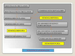 RED CELLS IN CIRCULATION
RED CELLS LYSE IN CIRCULATION
HEMOGLOBIN IN PLASMA
HEMOGLOBIN IN URINE
HEMOGLOBINURIA
POSITIVE BENZIDINE TEST
HEMOGLOBINIMIA
HB ABSORBED BYKIDNEY
TUBULAR CELLS
HB CONVERTED TOHEMOSIDERIN
TUBULAR CELLS IN FEW DAYS
TUBULAR CELLS SHED OFF
HEMOSIDENURIA
COMBINES WITH HEPTAGLOBIN
INTRAVASCULAR HEMOLYSIS
 