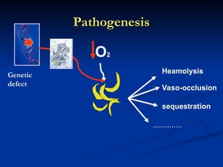 Pathogenesis
Pathogenesis
O2
Heamolysis
Vaso-occlusion
sequestration
..............
Genetic
defect
 