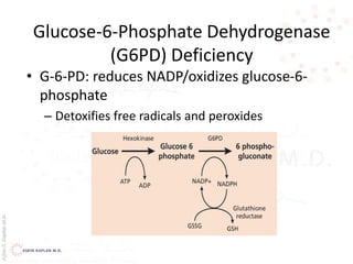 AşkınK.KaplanM.D.
Glucose-6-Phosphate Dehydrogenase
(G6PD) Deficiency
• G-6-PD: reduces NADP/oxidizes glucose-6-
phosphate
– Detoxifies free radicals and peroxides
 