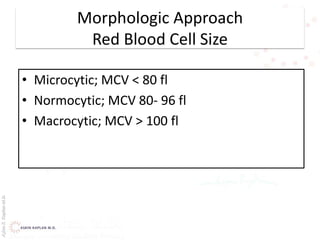 AşkınK.KaplanM.D.
Morphologic Approach
Red Blood Cell Size
• Microcytic; MCV < 80 fl
• Normocytic; MCV 80- 96 fl
• Macrocytic; MCV > 100 fl
 
