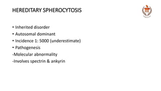 HEREDITARY SPHEROCYTOSIS
• Inherited disorder
• Autosomal dominant
• Incidence 1: 5000 (underestimate)
• Pathogenesis
-Molecular abnormality
-Involves spectrin & ankyrin
 