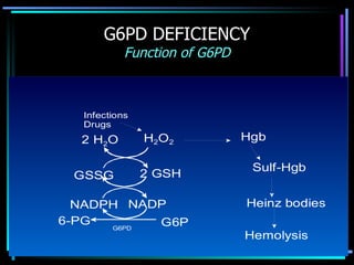 hemolytic-anemia-ppt-presentation-ppt