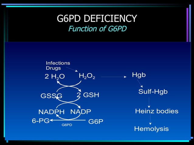Hemolytic Anemia Ppt Presentation