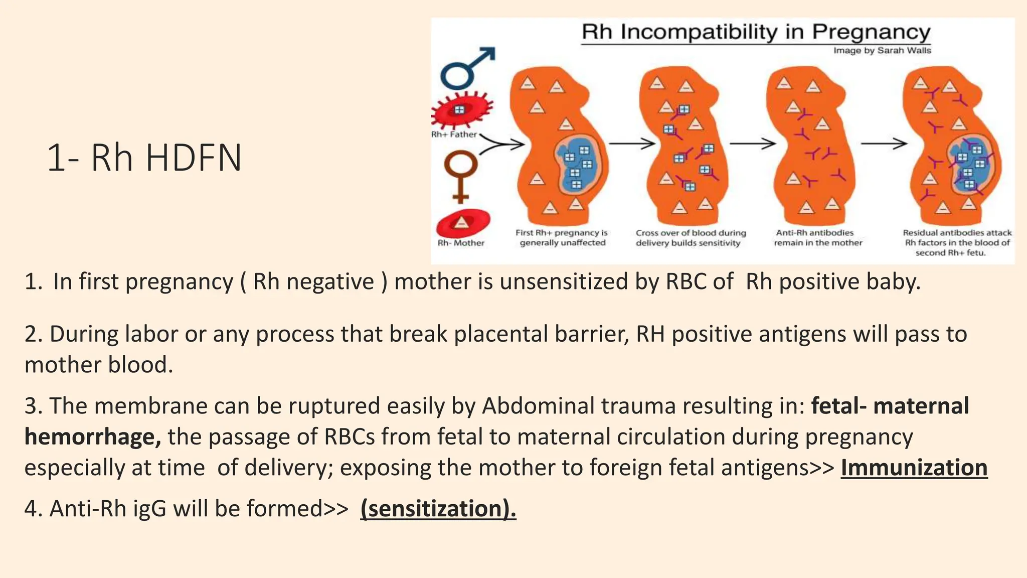Hemolytic disease of the newborn and neonatal transfusion.pptx