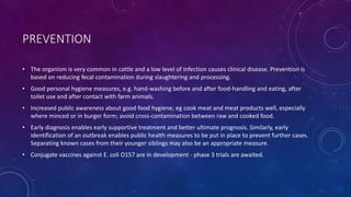 PREVENTION 
• The organism is very common in cattle and a low level of infection causes clinical disease. Prevention is 
based on reducing fecal contamination during slaughtering and processing. 
• Good personal hygiene measures, e.g. hand-washing before and after food-handling and eating, after 
toilet use and after contact with farm animals. 
• Increased public awareness about good food hygiene, eg cook meat and meat products well, especially 
where minced or in burger form; avoid cross-contamination between raw and cooked food. 
• Early diagnosis enables early supportive treatment and better ultimate prognosis. Similarly, early 
identification of an outbreak enables public health measures to be put in place to prevent further cases. 
Separating known cases from their younger siblings may also be an appropriate measure. 
• Conjugate vaccines against E. coli O157 are in development - phase 3 trials are awaited. 
 