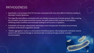 PATHOGENESIS 
• Specifically, E coli serotype O157:H7 has been associated with more than 80% of infections leading to 
Hemolytic Uremic Syndrome. 
• The shiga-like toxin affects endothelial cells and initiates intravascular thrombo-genesis. After entering 
the circulation via the gastrointestinal mucosa, the toxin preferentially localizes to the kidneys, 
inhibiting protein synthesis and eventually leading to cell necrosis or apoptosis. 
• Endothelial cell damage subsequently potentiates renal microvascular thrombosis by promoting 
activation of the blood coagulation cascade. 
• Platelet aggregation results in a consumptive thrombocytopenia. Microangiopathic hemolytic anemia 
results from mechanical damage to red blood cells circulating through partially occluded 
microcirculation. 
 